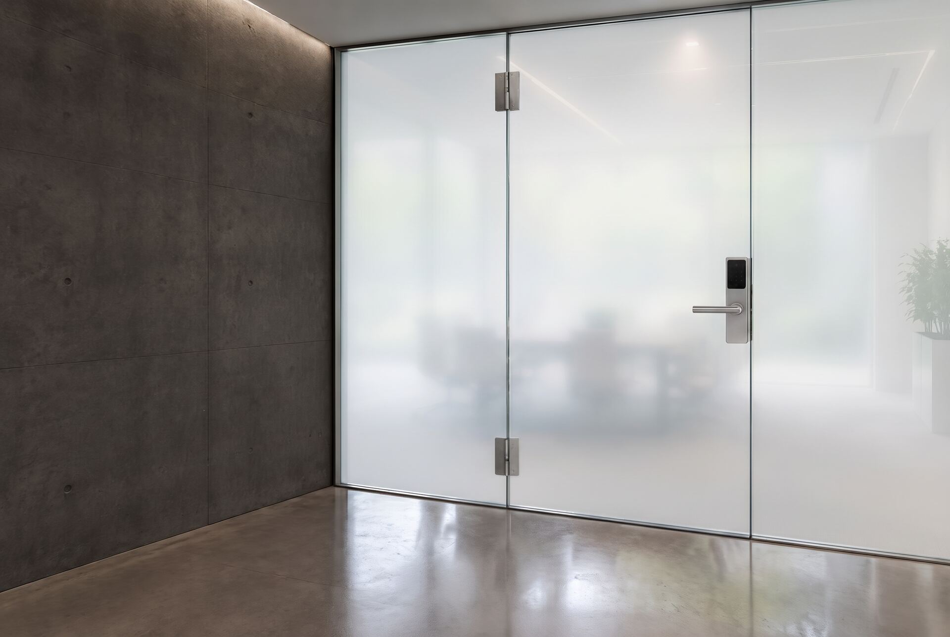 Same commercial door with frosted privacy glass